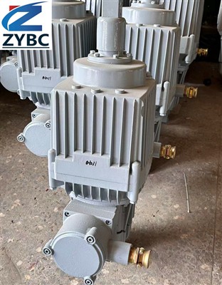 EXPLOSIONSGESCHÜTZTES ELEKTROHYDRAULISCHES TRIEBWERK